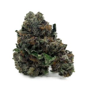Purple Urkle