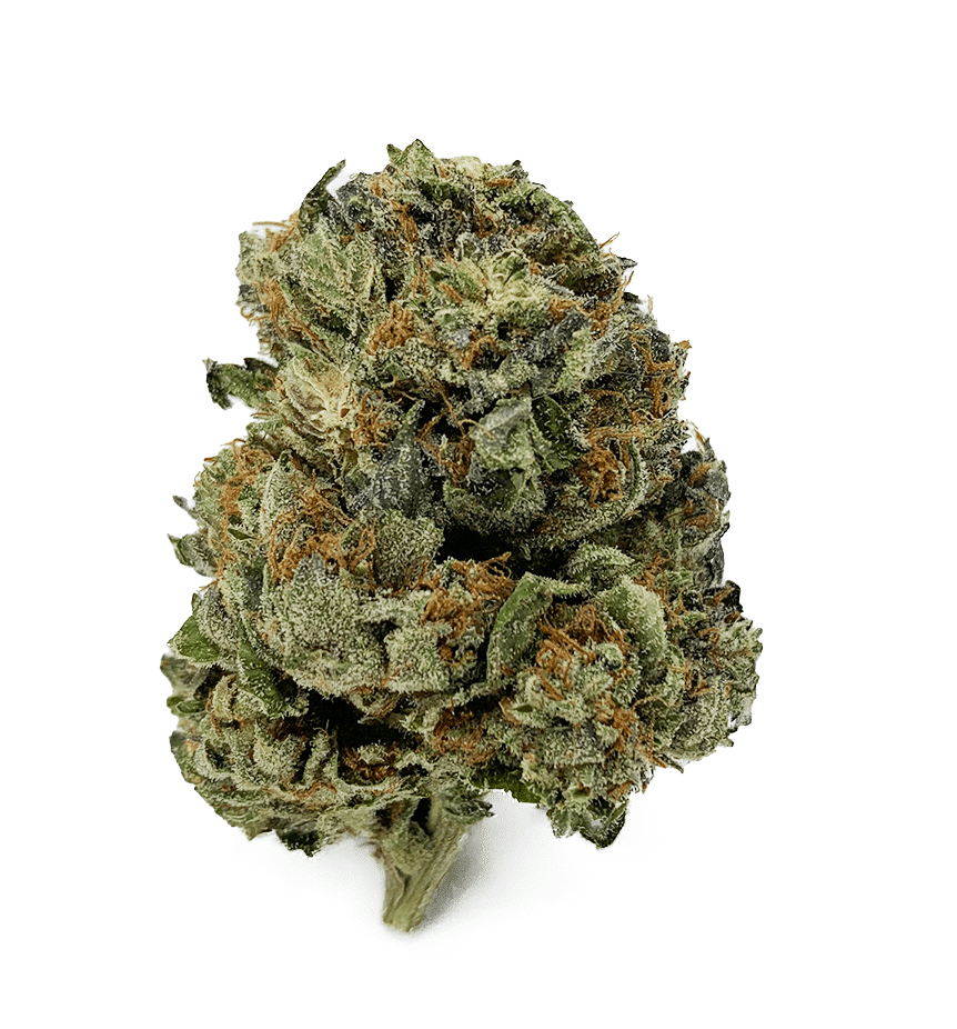 Rockstar – 28 Grams
