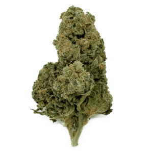 Sensi Star