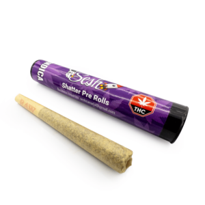 Sesh – Shatter Pre-Rolls – Indica