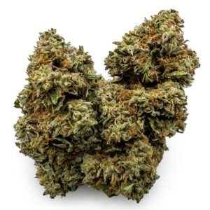 Shiatsu Kush