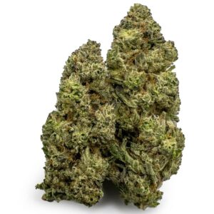 Slurricane