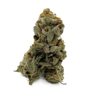Sour Amnesia Untrimmed