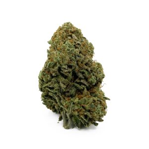Sour Cheese