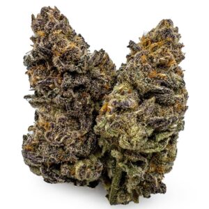 Sunset Sherbet