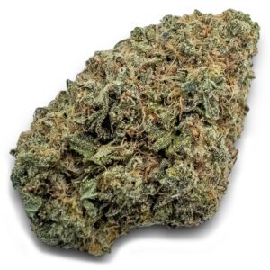 Tangerine Dream