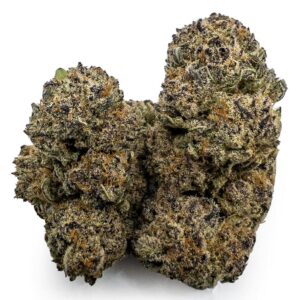 Tropic Truffle