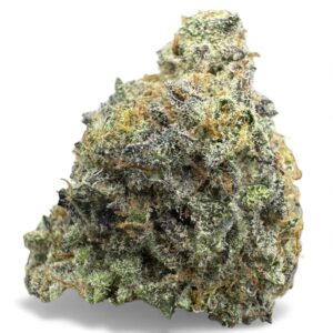 Tropical Cake