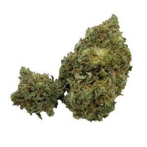 UBC Chemo
