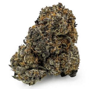 Vanilla Haze