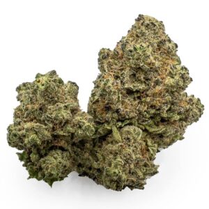 Walter White