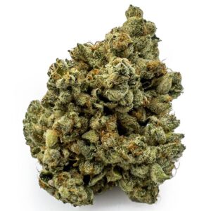 West Coast Diesel