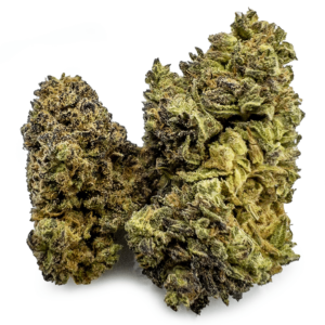 Wild Zombie (Outdoor) – 28 Grams