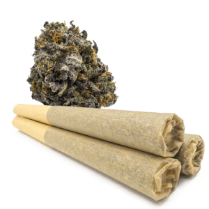 WTF 0.9 Gram Pre-Rolled Joints – Gorilla Pie