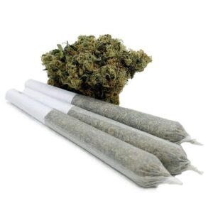 WTF 0.9 Gram Pre-Rolled Joints – Mochi