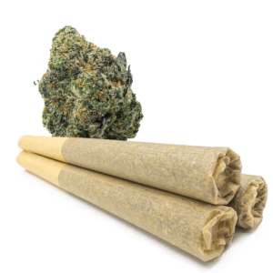 WTF 0.9 Gram Pre-Rolled Joints – Northern Lights