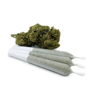 WTF 0.9 Gram Pre-Rolled Joints – Nuken