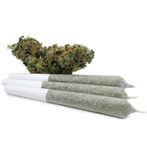 WTF 0.9 Gram Pre-Rolled Joints – Platinum Kush