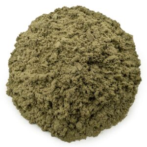 WTF – Kief – Chernobyl