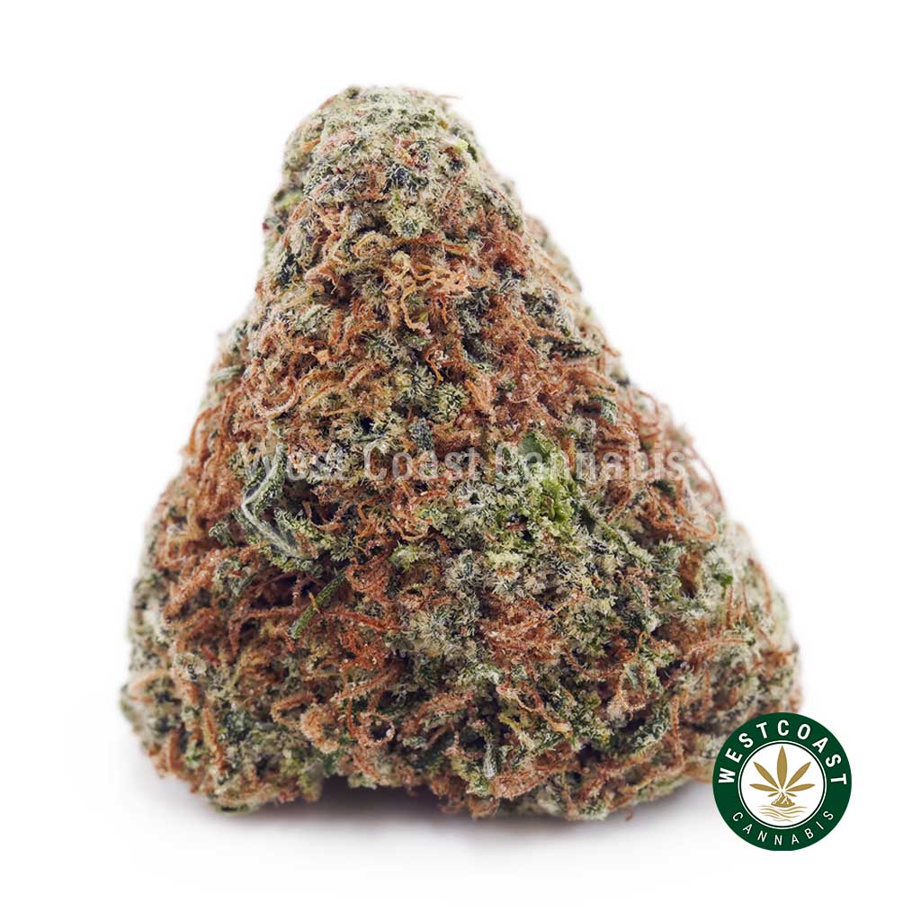 Alice in Wonderland AAAA product image