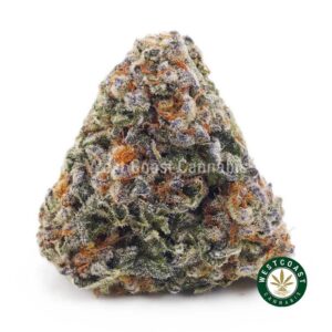 Animal Cookies AAA product image