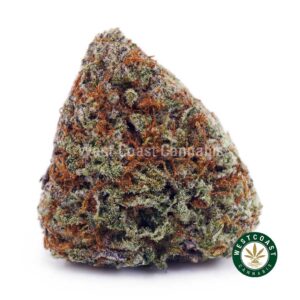 Astroboy AAAA product image