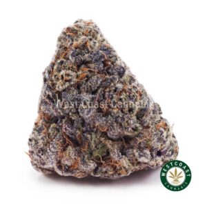 Blackberry Gelato AAAA product image
