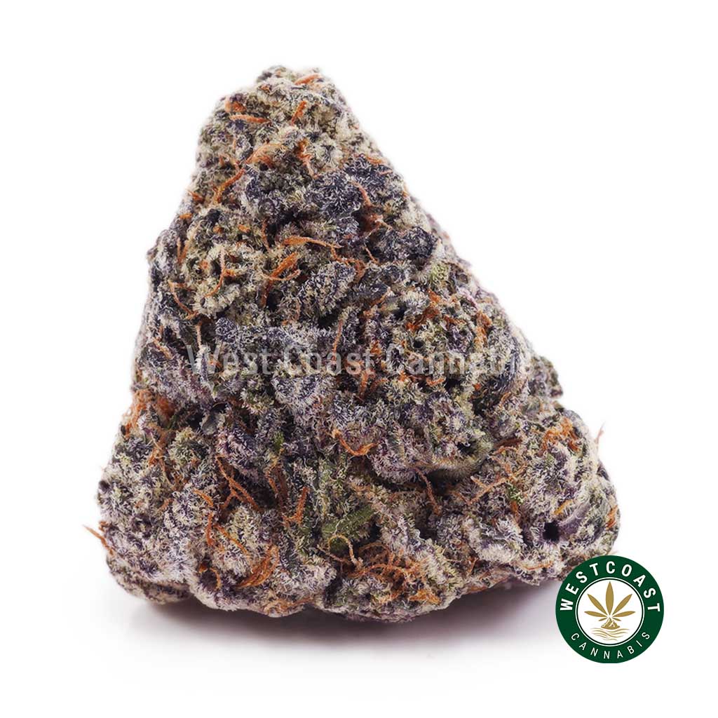 Blackberry Gelato AAAA product image