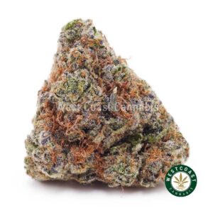 Blackberry Haze AA product image