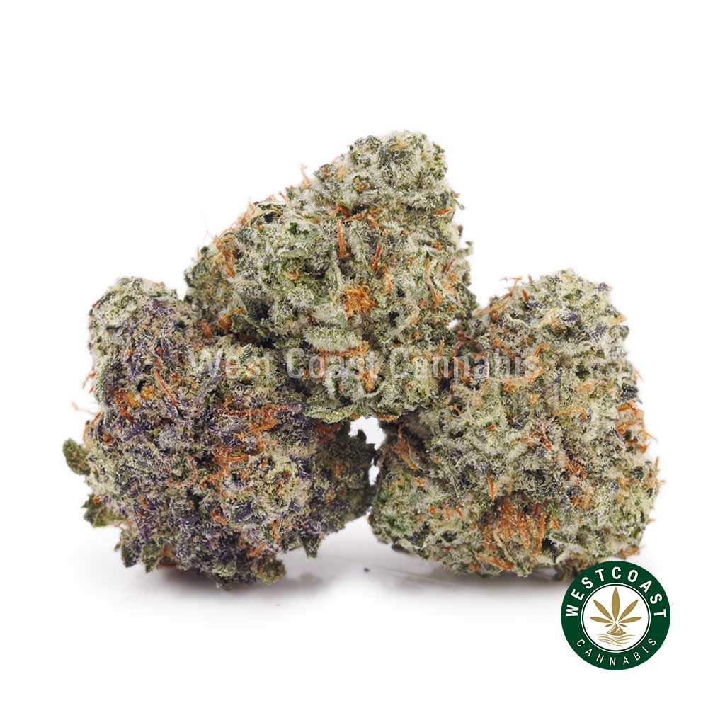 Blueberry Pie AAAA (Popcorn Nugs) product image