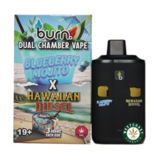 Burn Extracts – Dual Chamber Disposable Vape – Blueberry Mojito + Hawaiian Diesel (3+3 Gram) product image