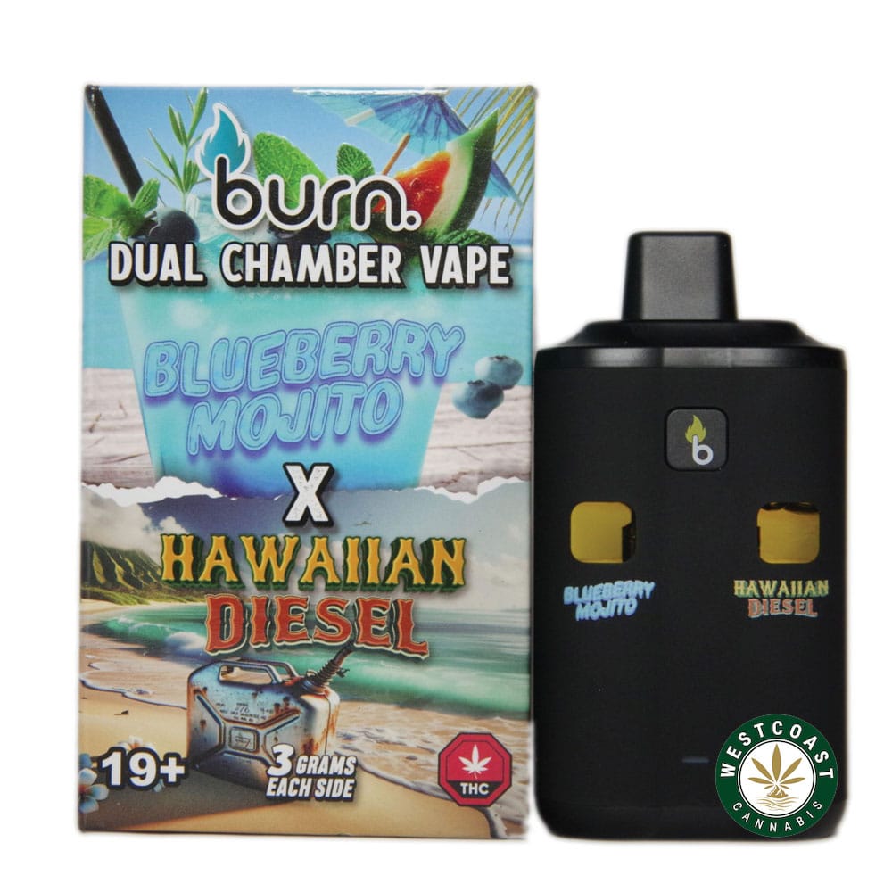Burn Extracts – Dual Chamber Disposable Vape – Blueberry Mojito + Hawaiian Diesel (3+3 Gram) product image