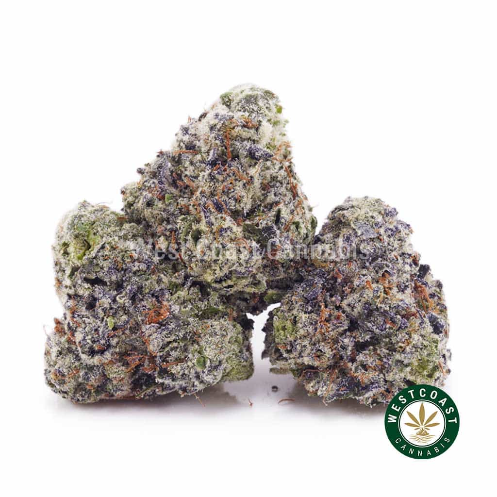 Purple Rose AAAA (Popcorn Nugs) product image