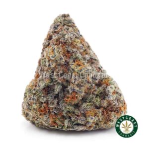 Cookie Monster AA product image
