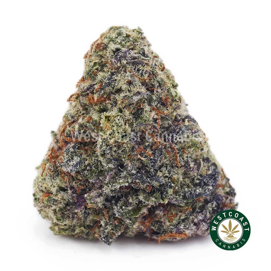 Cookie Stomper AAAA product image