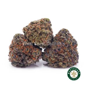 Critical Purps AAAA (Popcorn Nugs) product image