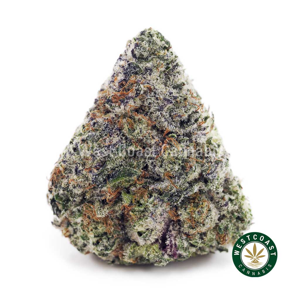 Dank Kush Breath AAAA+ product image