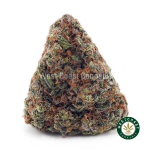 Donny Burger AA product image