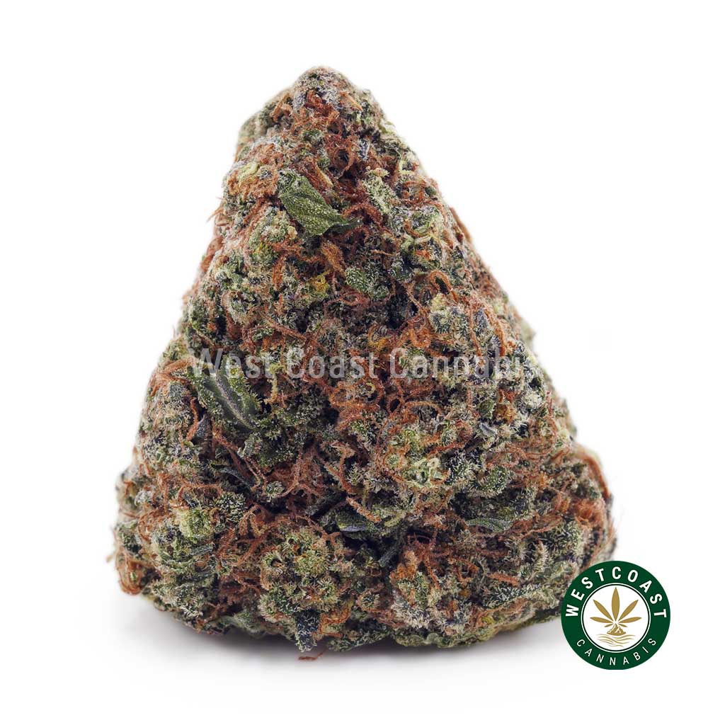 Donny Burger AA product image