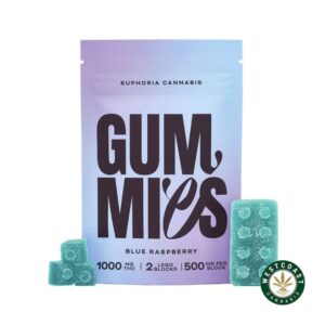 Euphoria Cannabis – Blue Raspberry Gummies 1000mg THC product image