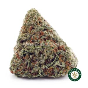 Girl Scout Cookies (GSC) AAA product image