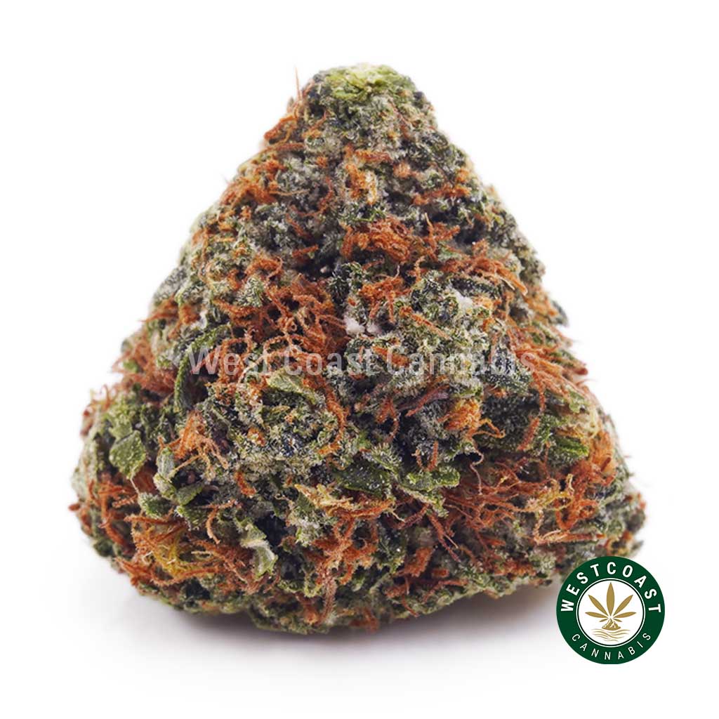 Gouda Berry AAA product image