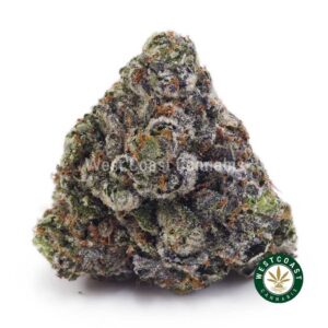 Island Pink Kush AAAA+ product image
