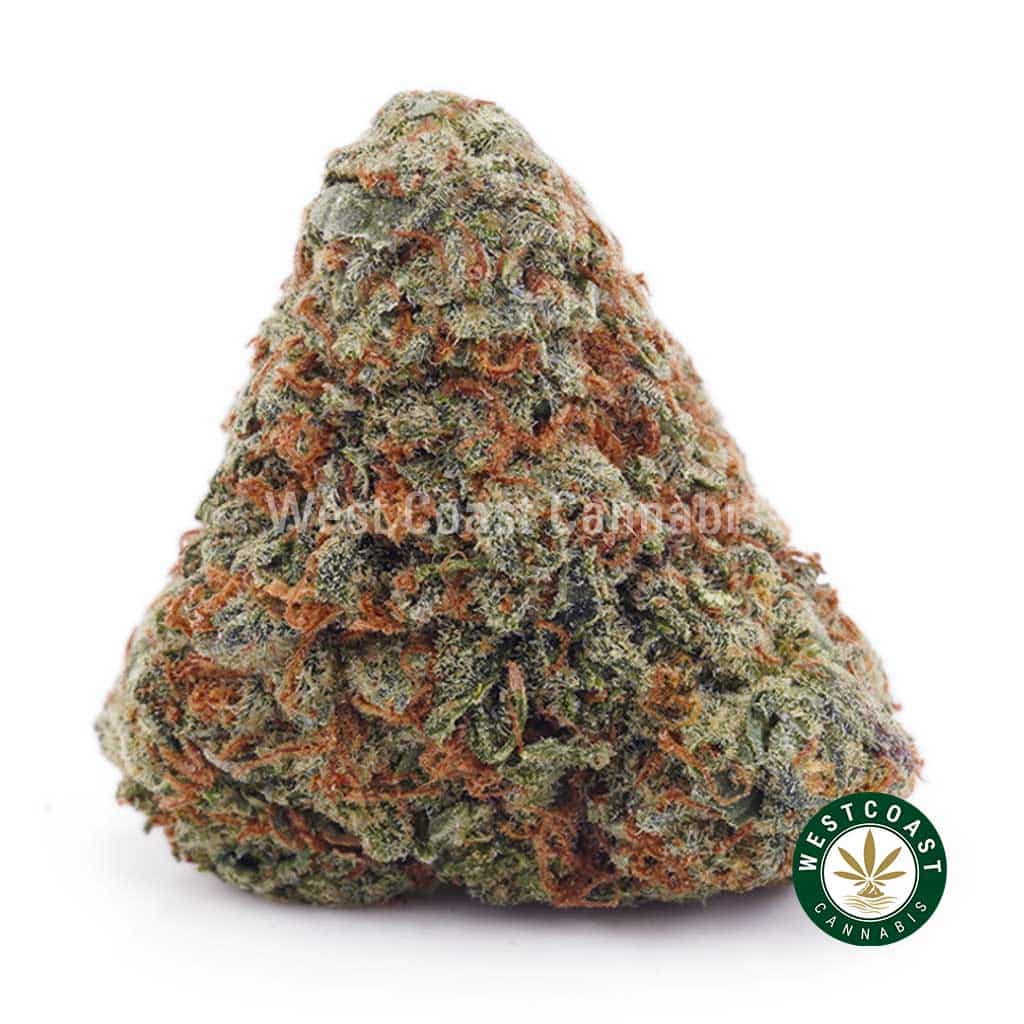 Island Sweet Skunk AAAA product image
