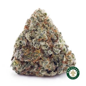 Jack Herer AAA product image