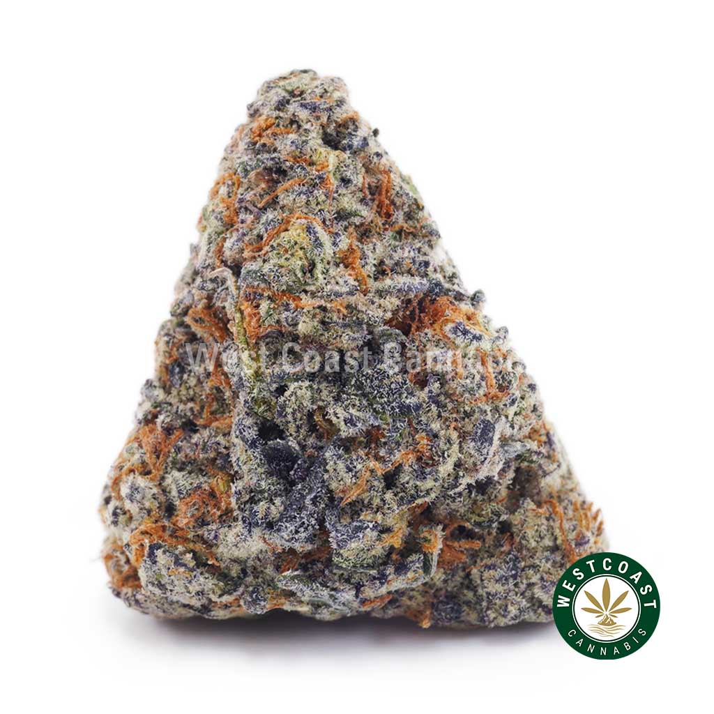 Cookie Monster AA product image