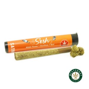 Sesh Blunts 1.5G – Sativa product image