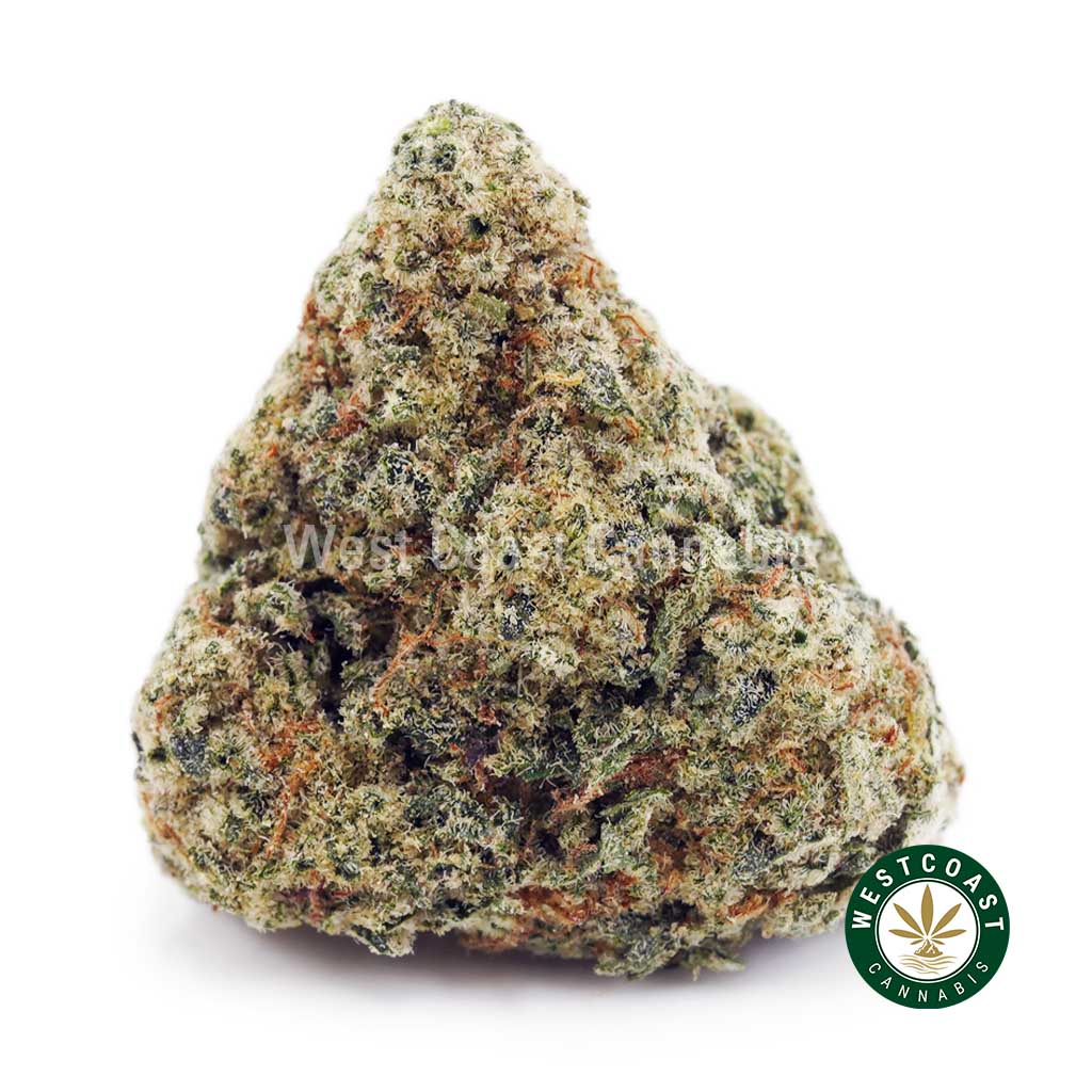 Northern Lights AAA product image