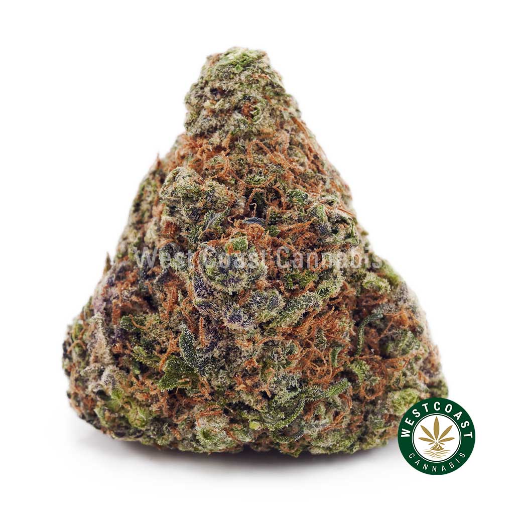 Pumpkin Spice AA product image