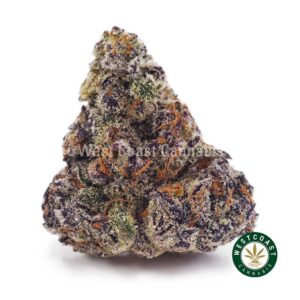 Purple Ghost AAAA product image